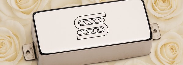 Seymour Duncan SM-2 Pickup Review
